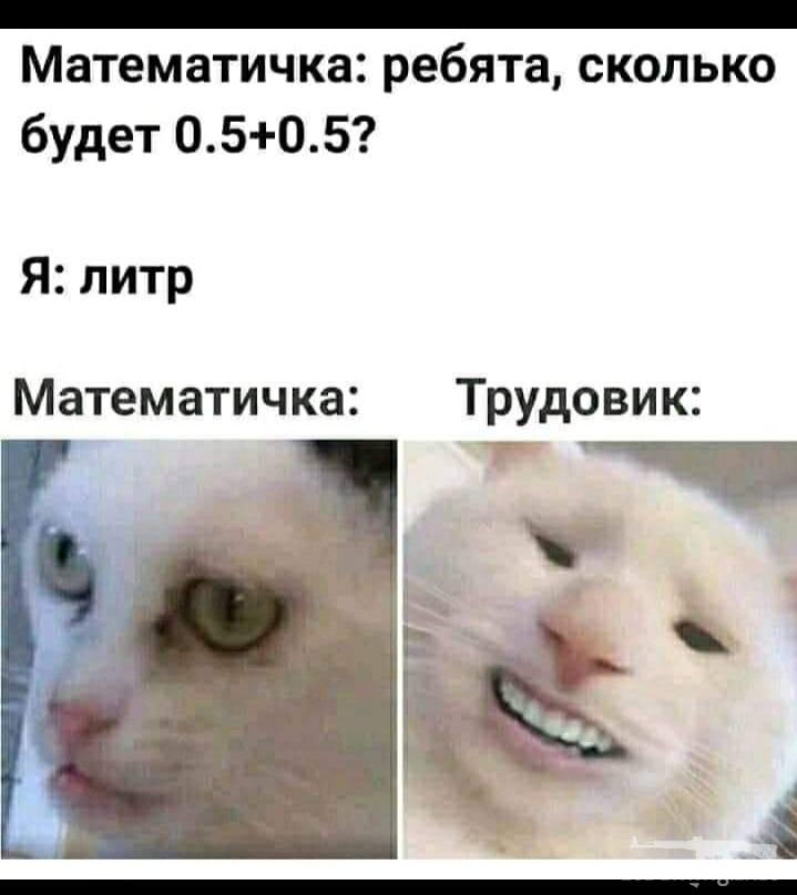 153811