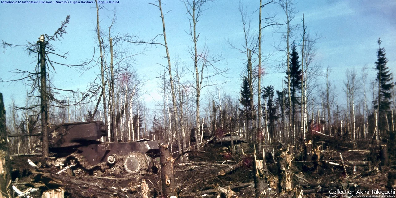 119442 - Военное фото 1941-1945 г.г. Восточный фронт.