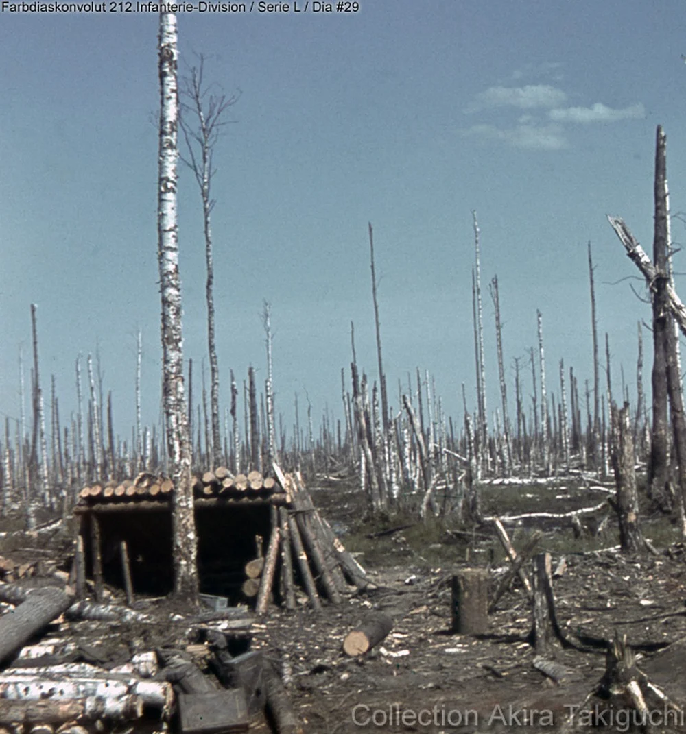 119447 - Военное фото 1941-1945 г.г. Восточный фронт.