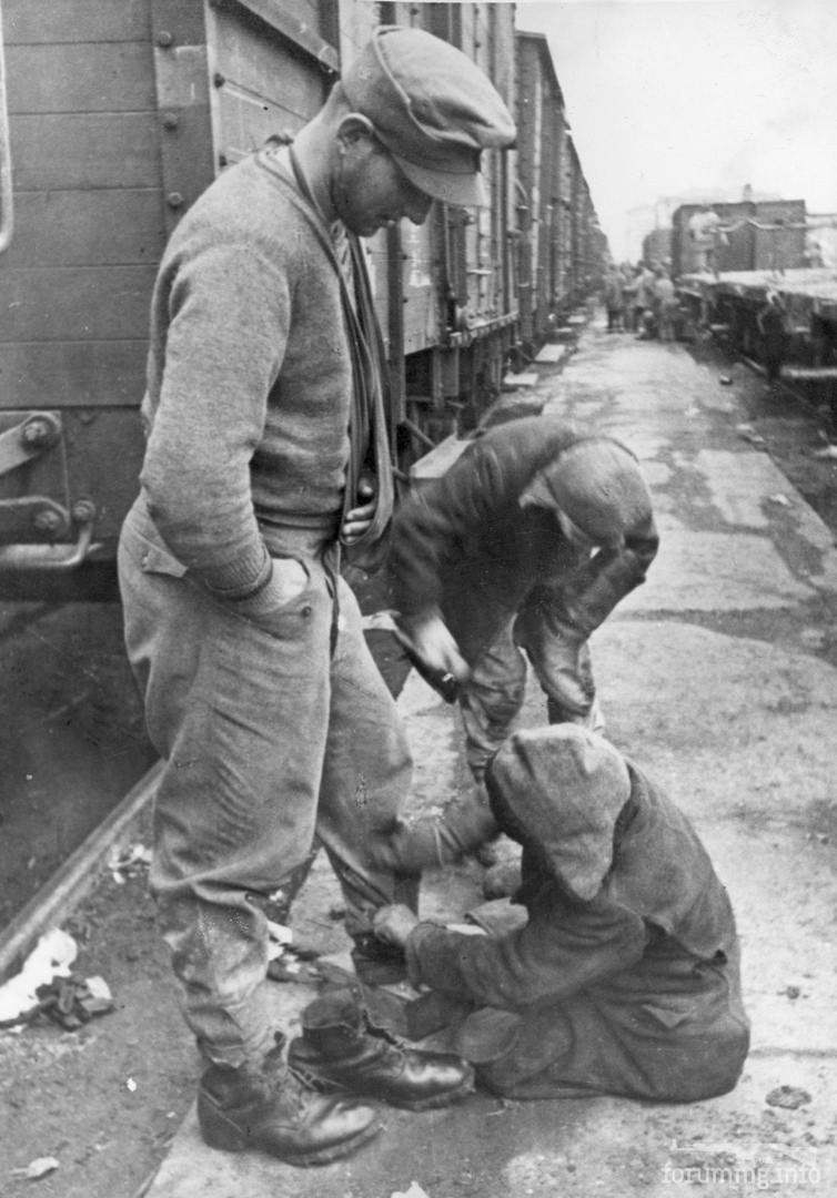 120467 - Военное фото 1941-1945 г.г. Восточный фронт.