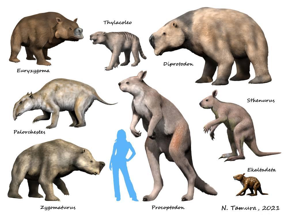 120537 - Динозавры, мамонты и всякие трилобиты - тема о палеонтологии