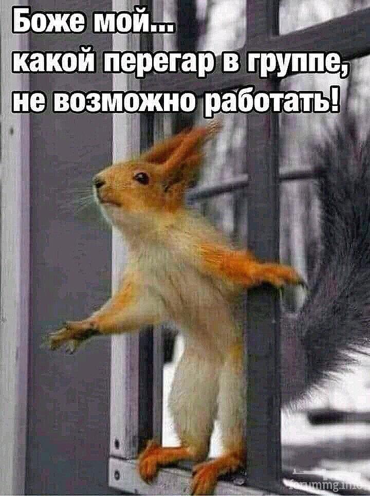 155952