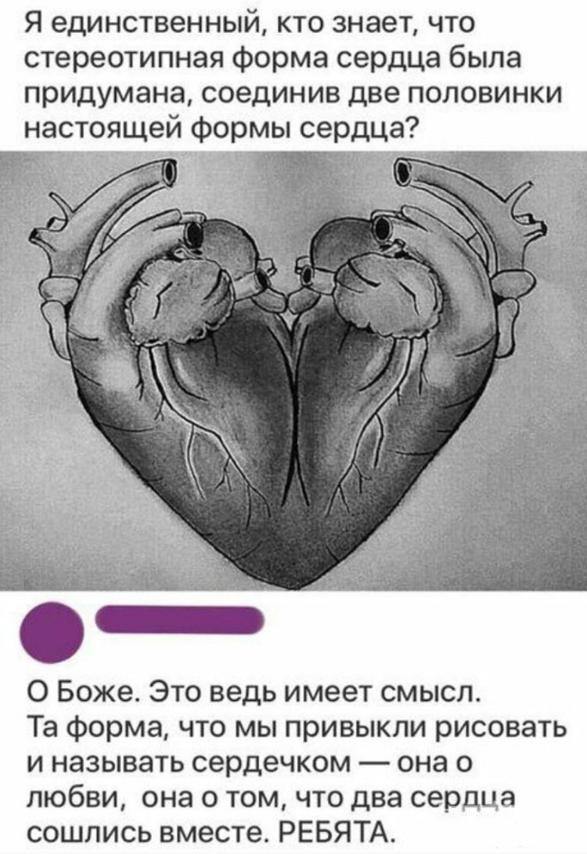 158604