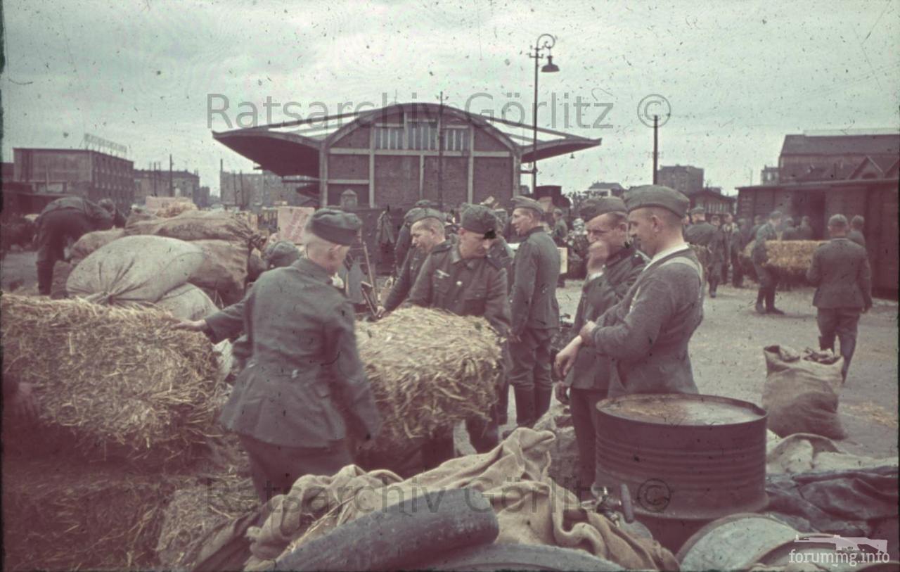 123254 - Военное фото 1939-1945 г.г. Западный фронт и Африка.