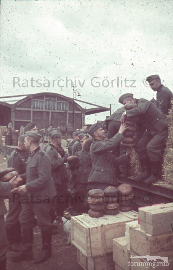 123257 - Военное фото 1939-1945 г.г. Западный фронт и Африка.