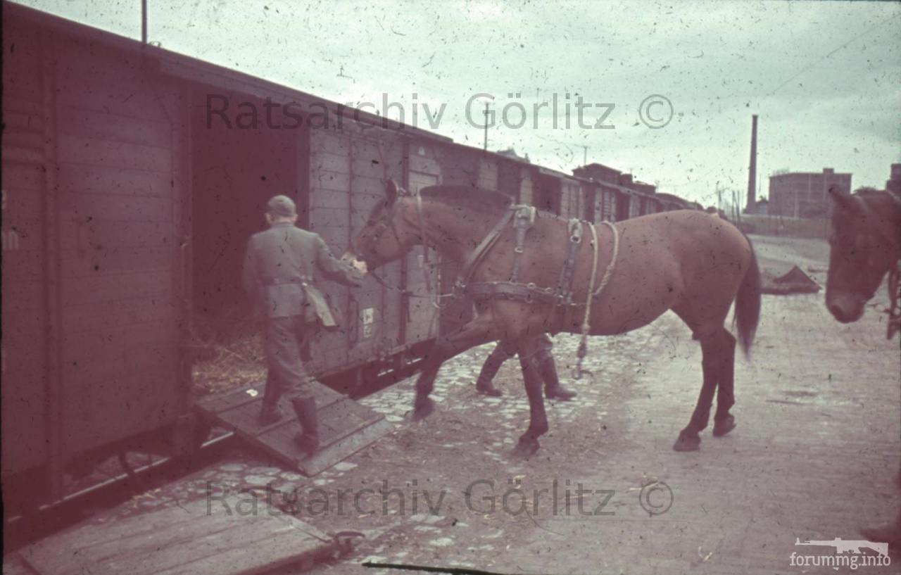 123260 - Военное фото 1939-1945 г.г. Западный фронт и Африка.