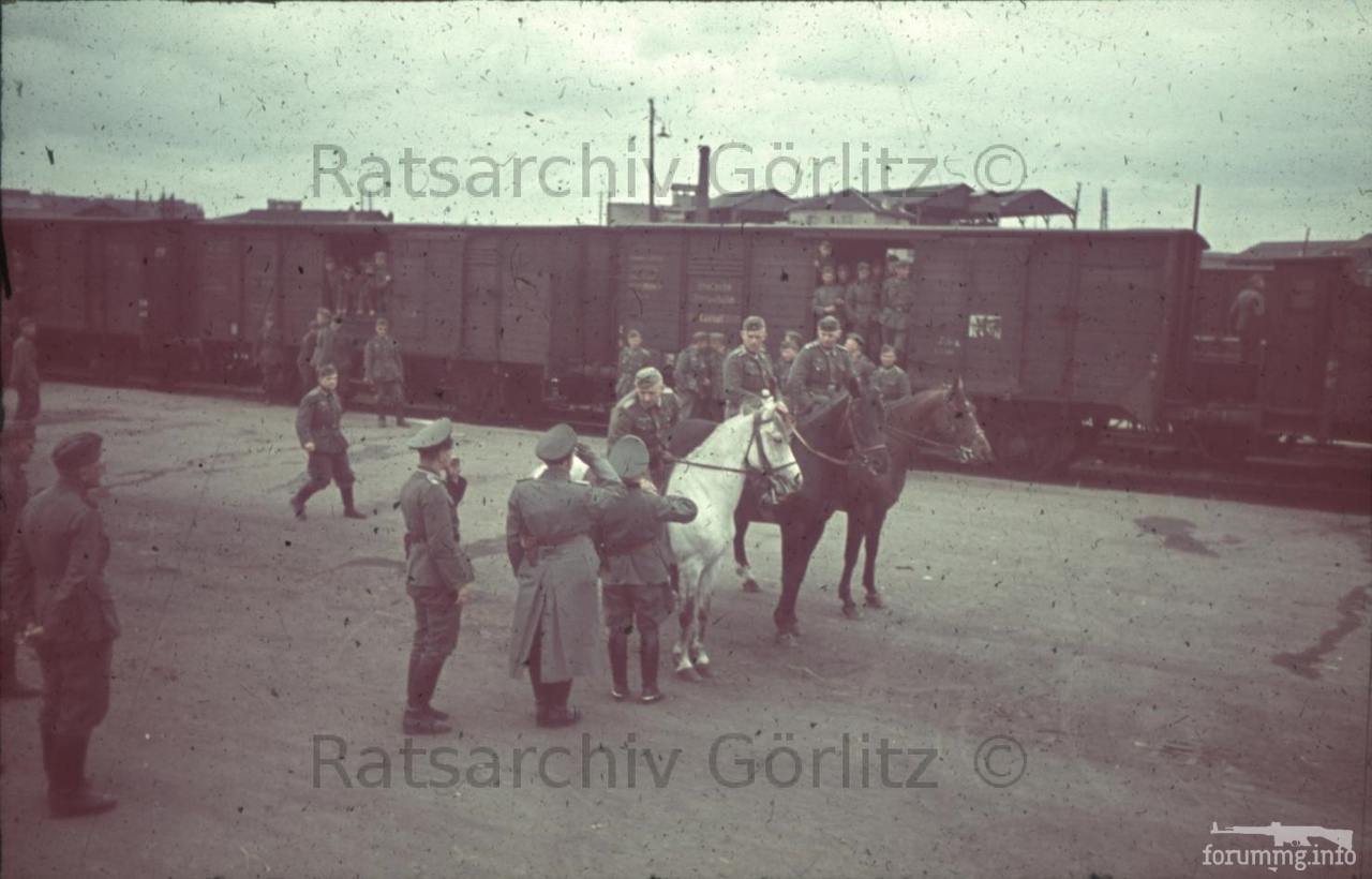 123265 - Военное фото 1939-1945 г.г. Западный фронт и Африка.