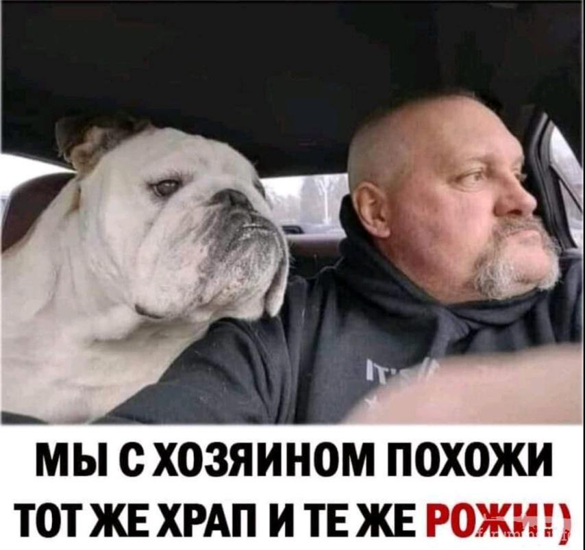 125205 - Смешные видео и фото с животными.