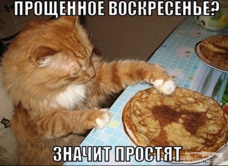 125234 - Смешные видео и фото с животными.