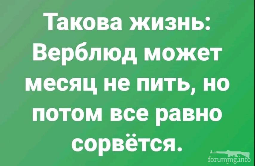 125351 - Пить или не пить? - пятничная алкогольная тема )))