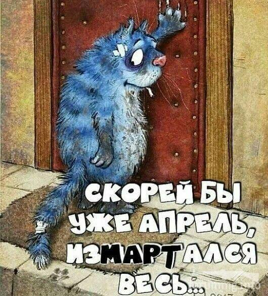 161153
