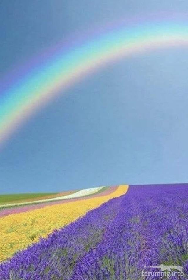 161598