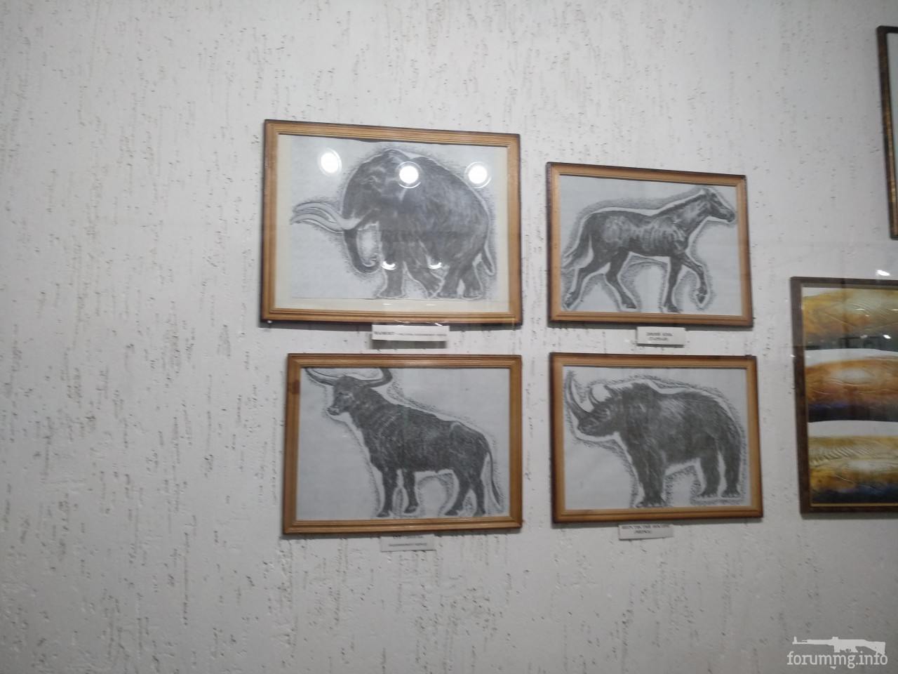 126283 - Київський обласний археологічний музей, селище Трипілля. (101.68 КБ) 1239 просмотров 126283 - Київський обласний археологічний музей, селище Трипілля.