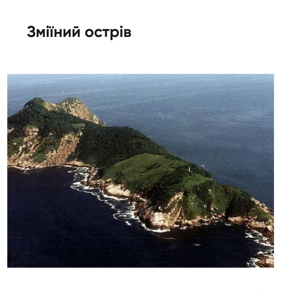 162804