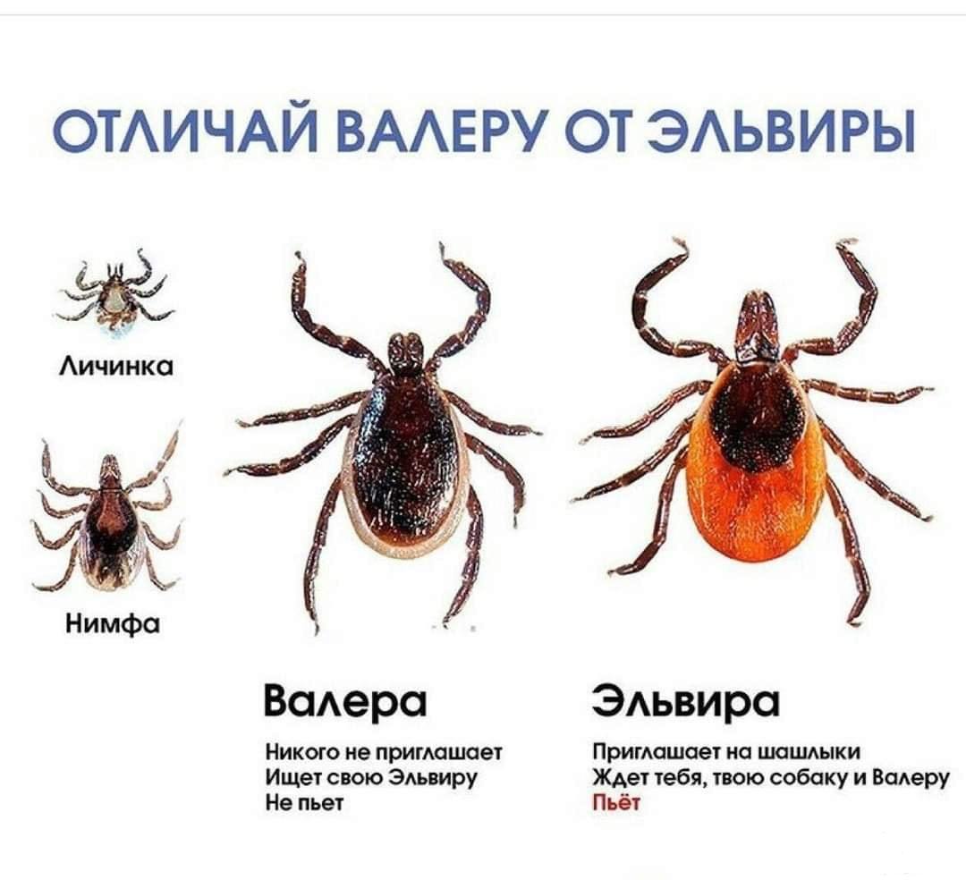 126772 - Супер прикол! № 2