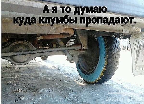 126819 - Автолюбитель...или Шофер. Автофлудилка.