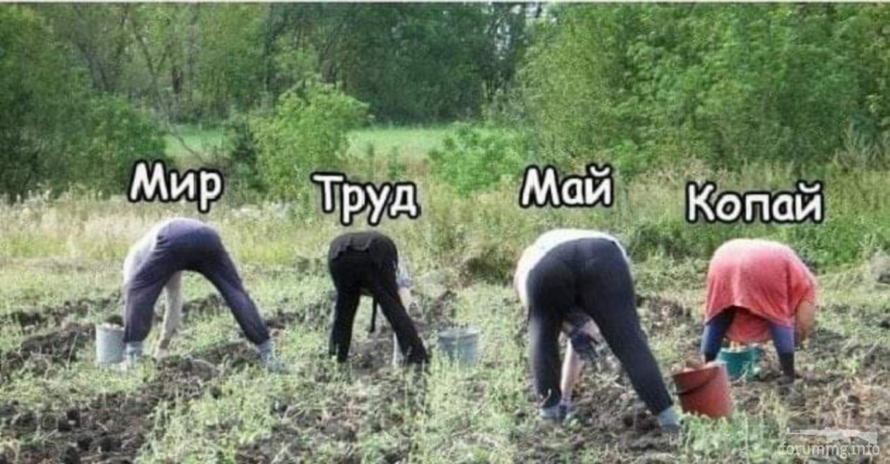 129037 - Супер прикол! № 2