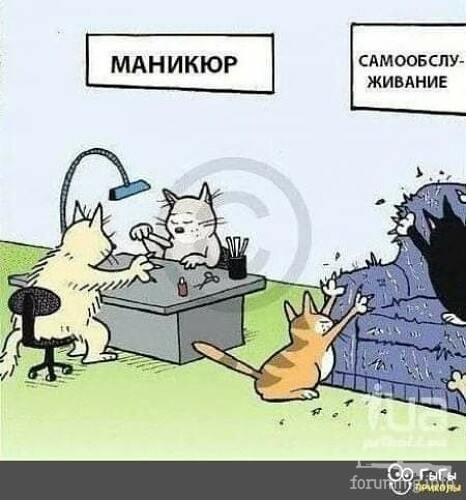 130568 - Супер прикол! № 2