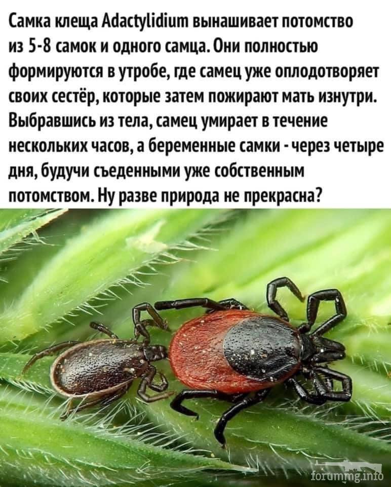 130747 - Супер прикол! № 2