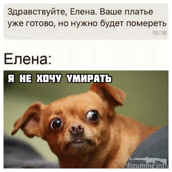 130981 - Супер прикол! № 2