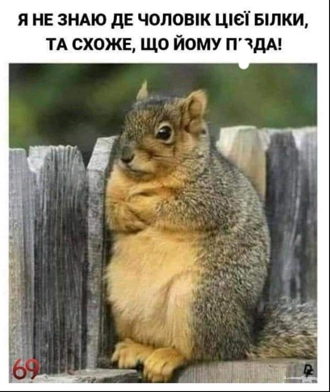 131110 - Супер прикол! № 2