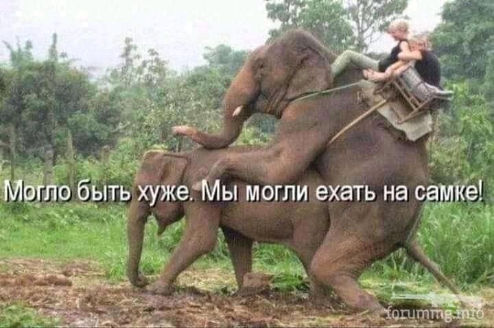 131150 - Супер прикол! № 2
