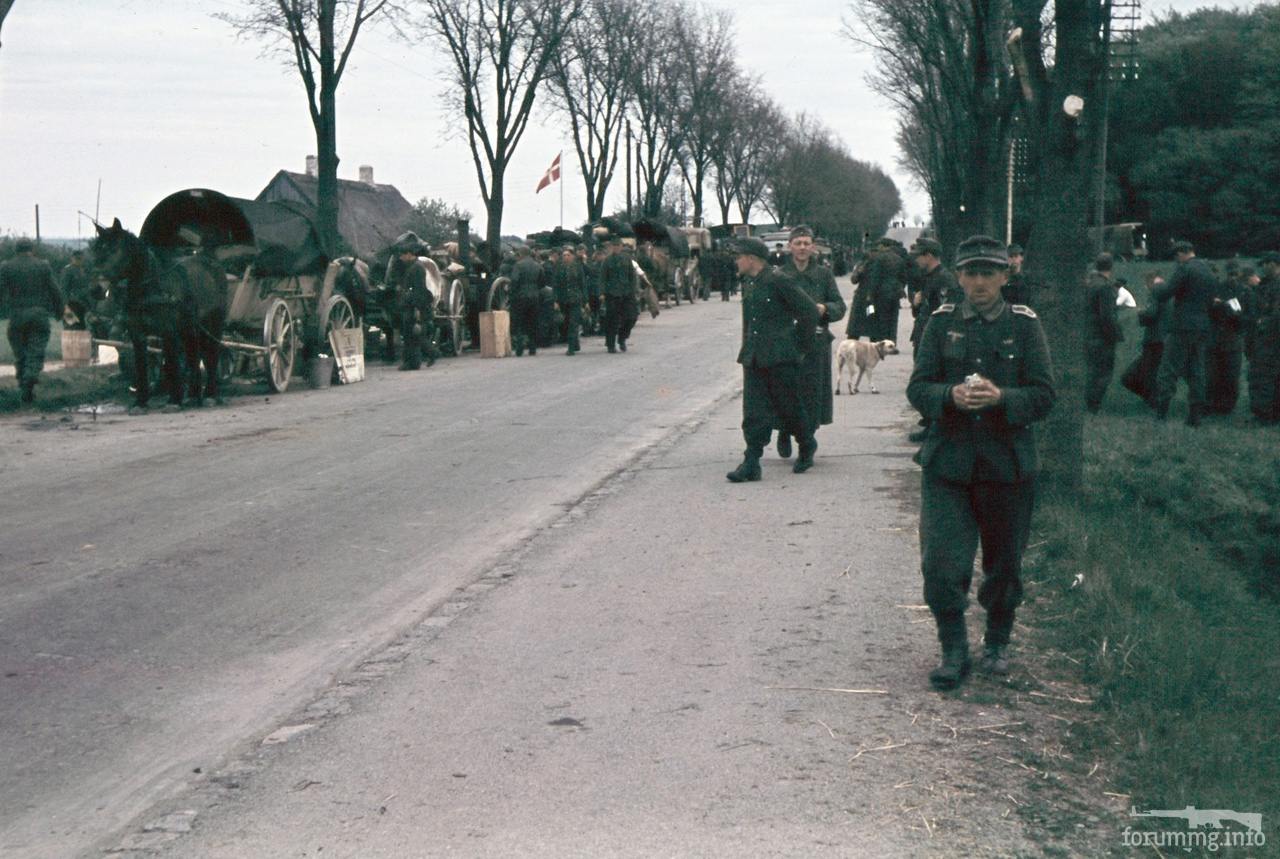 131294 - Военное фото 1939-1945 г.г. Западный фронт и Африка.