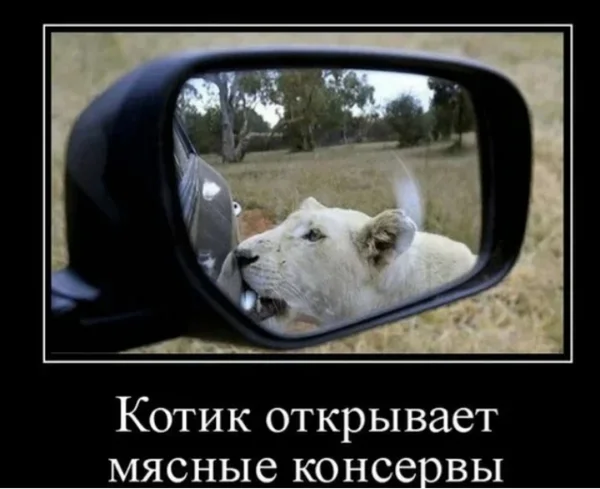 131465 - Адский циник!