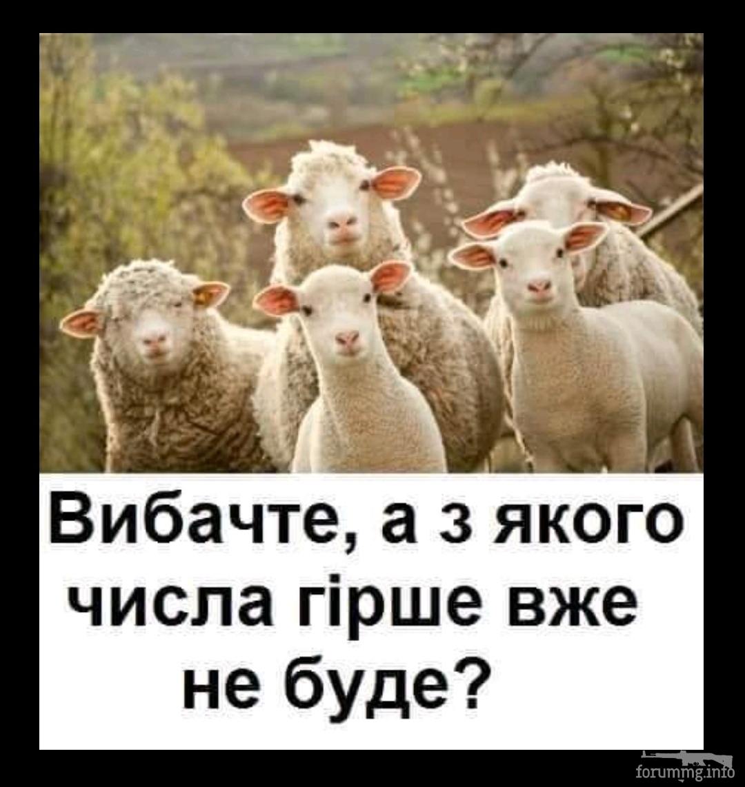 131632 - Политический юмор