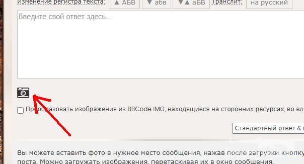 133130 - Лето 1941г,немецкие фото.