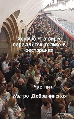 133450 - Вирус. Эпидемия.