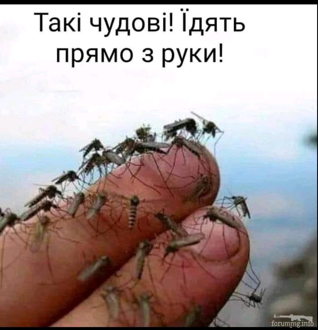 133637 - Супер прикол! № 2