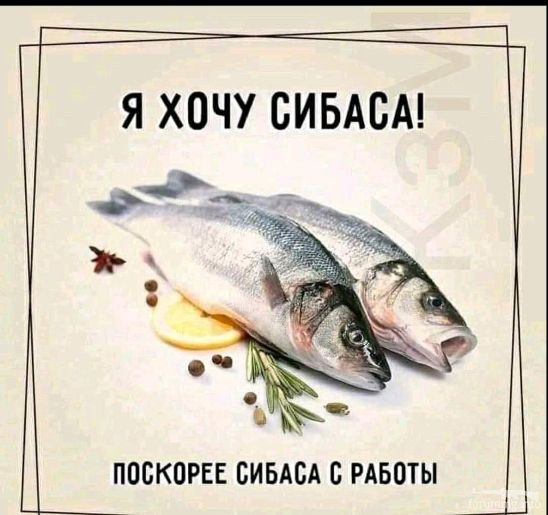 133683 - Супер прикол! № 2