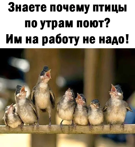 134127 - Супер прикол! № 2