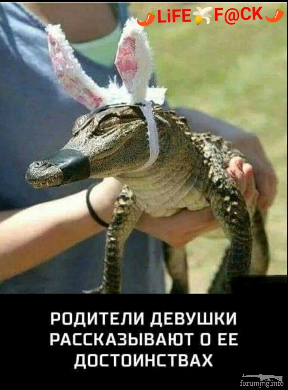134721 - Супер прикол! № 2