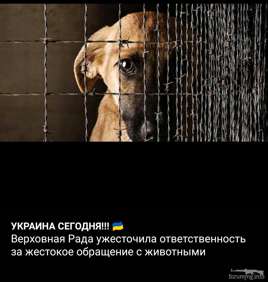 134987 - Украина-реалии New