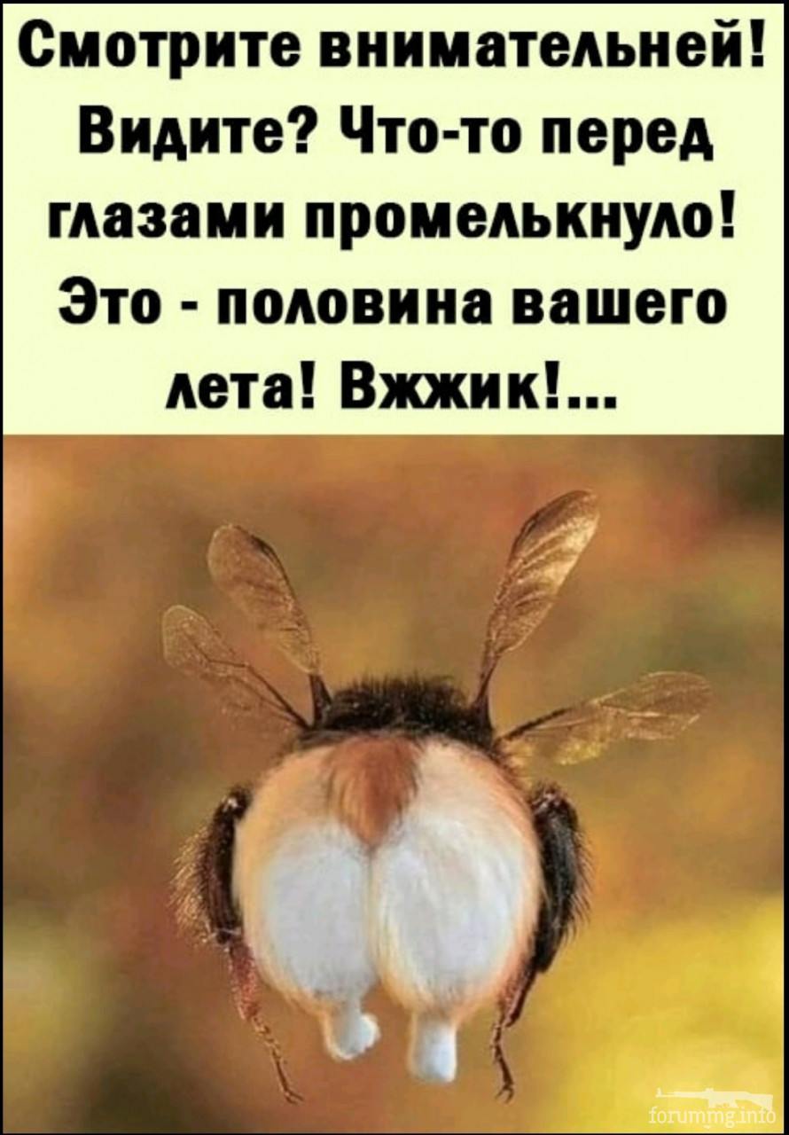 135012 - Супер прикол! № 2