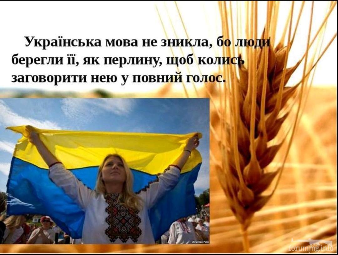 136653 - Украинцы и россияне,откуда ненависть.