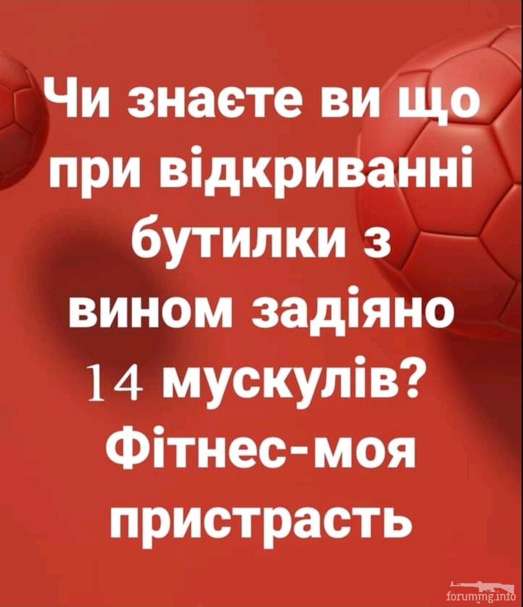 136953 - Пить или не пить? - пятничная алкогольная тема )))