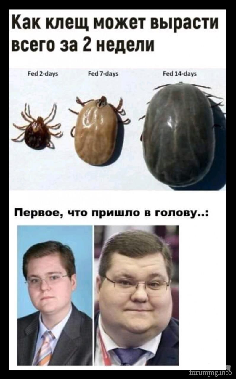 137258 - Политический юмор