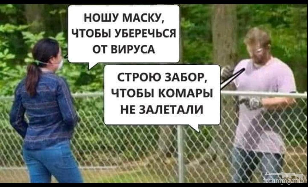 137320 - Вирус. Эпидемия.