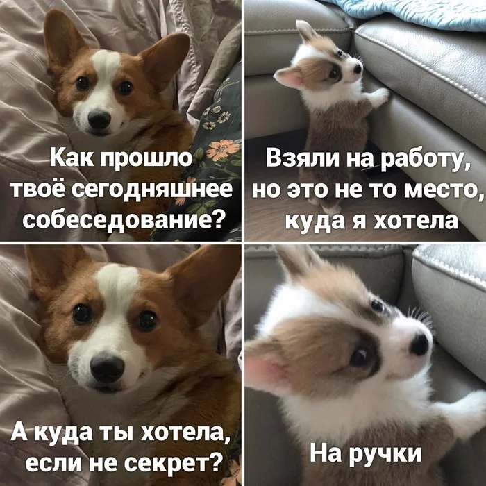 137456 - Супер прикол! № 2