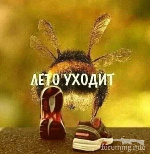 137605 - Супер прикол! № 2