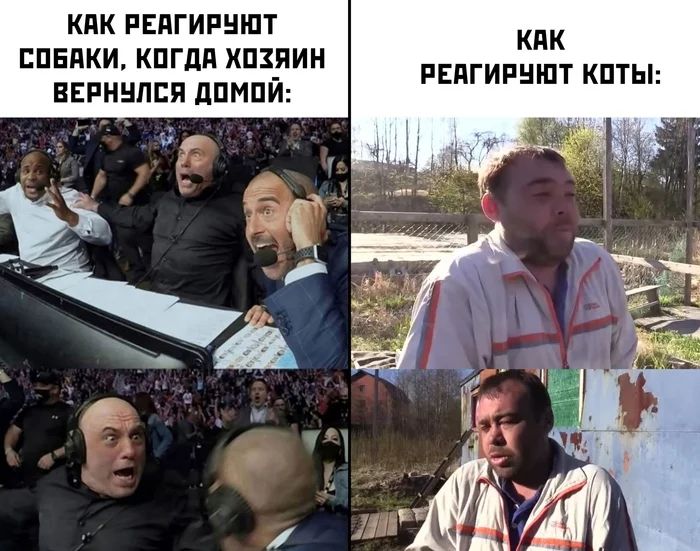 137889 - Супер прикол! № 2