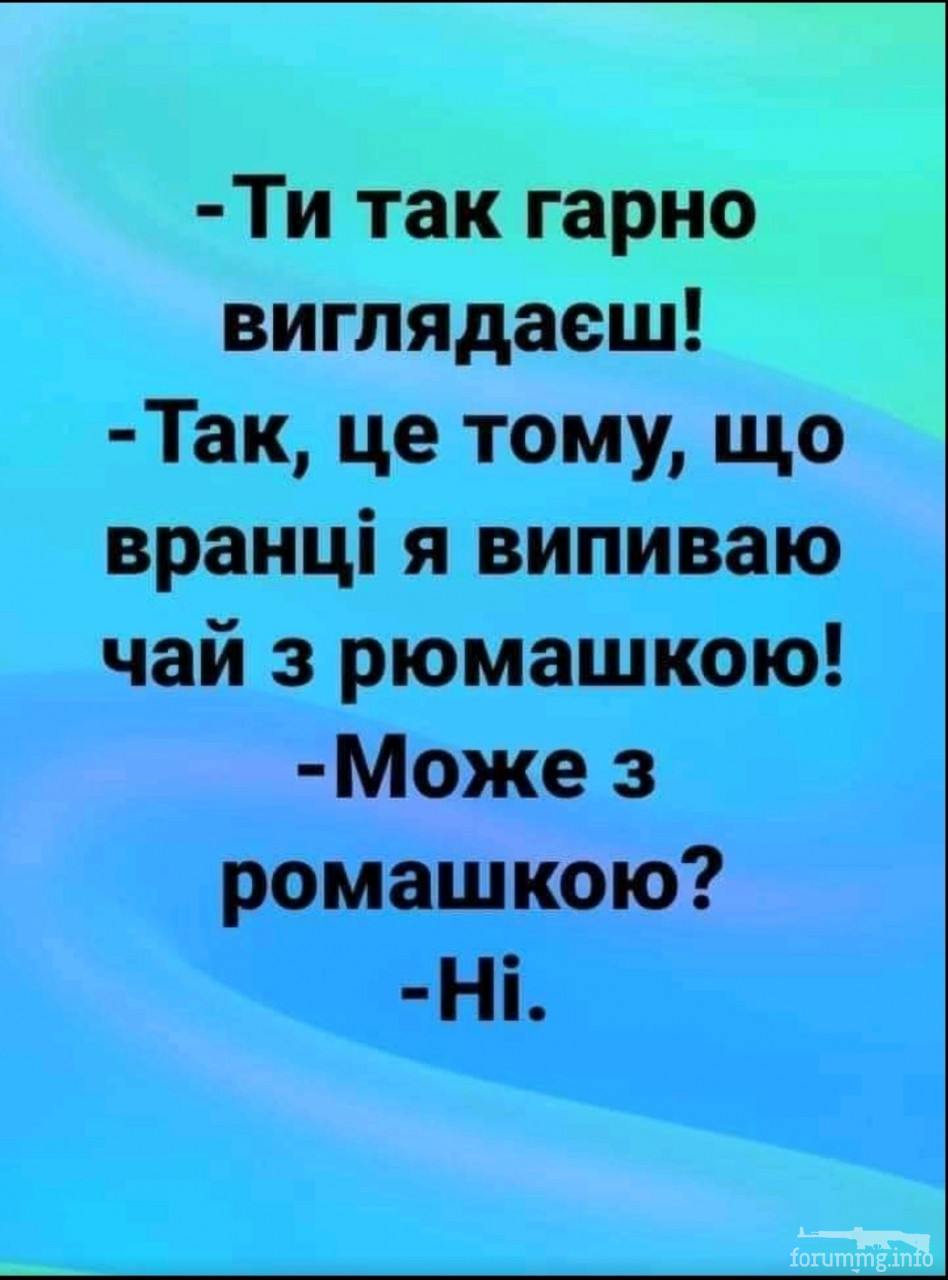 139758 - Пить или не пить? - пятничная алкогольная тема )))