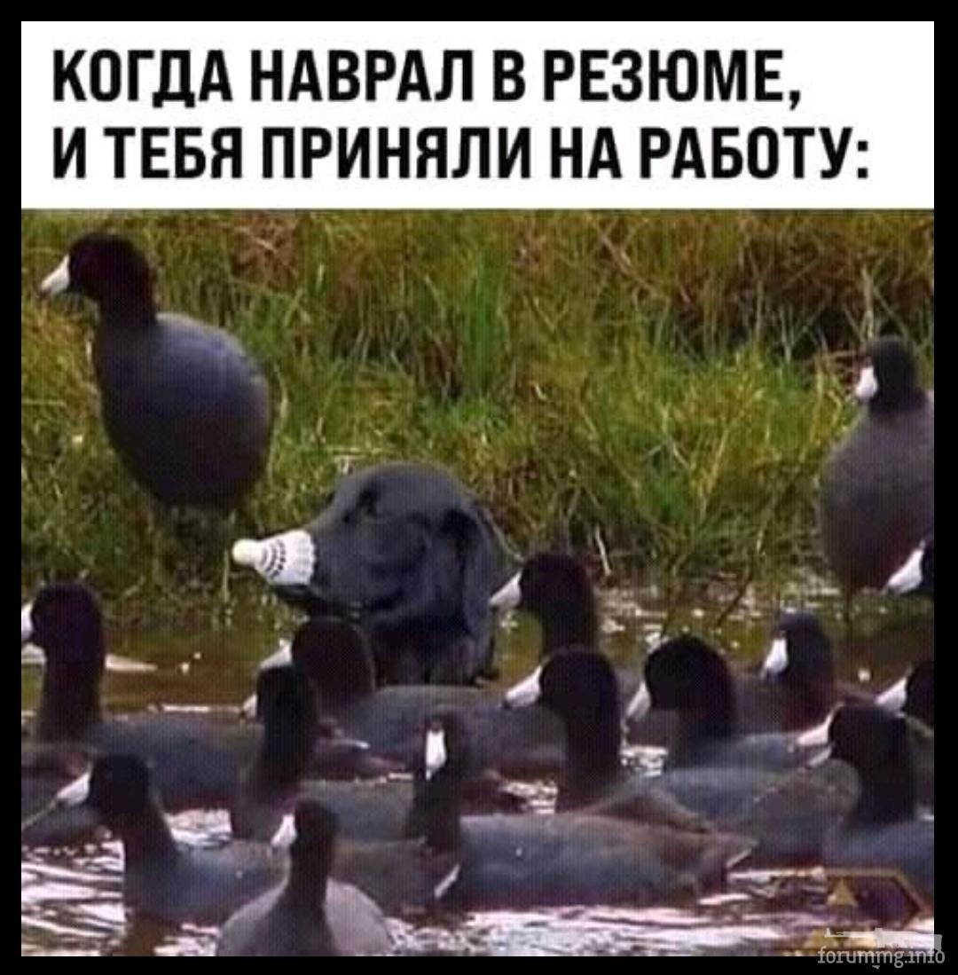 140630 - Супер прикол! № 2