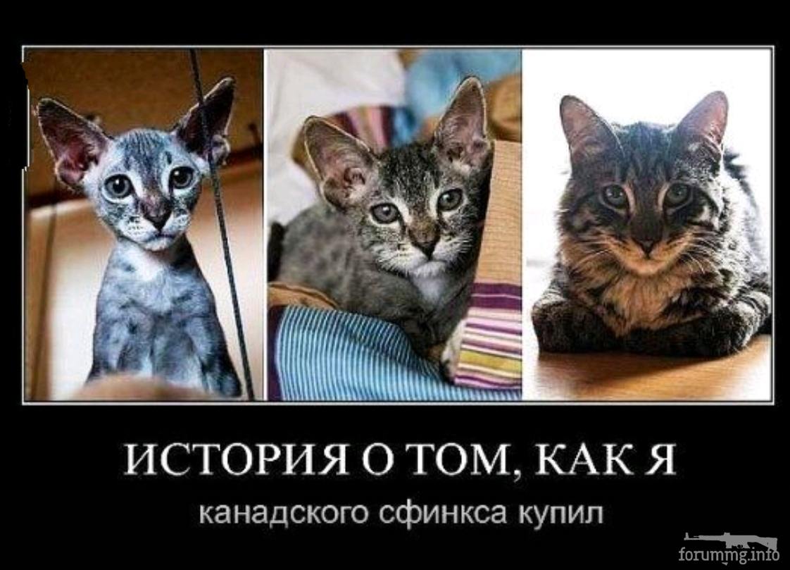 141666 - Супер прикол! № 2