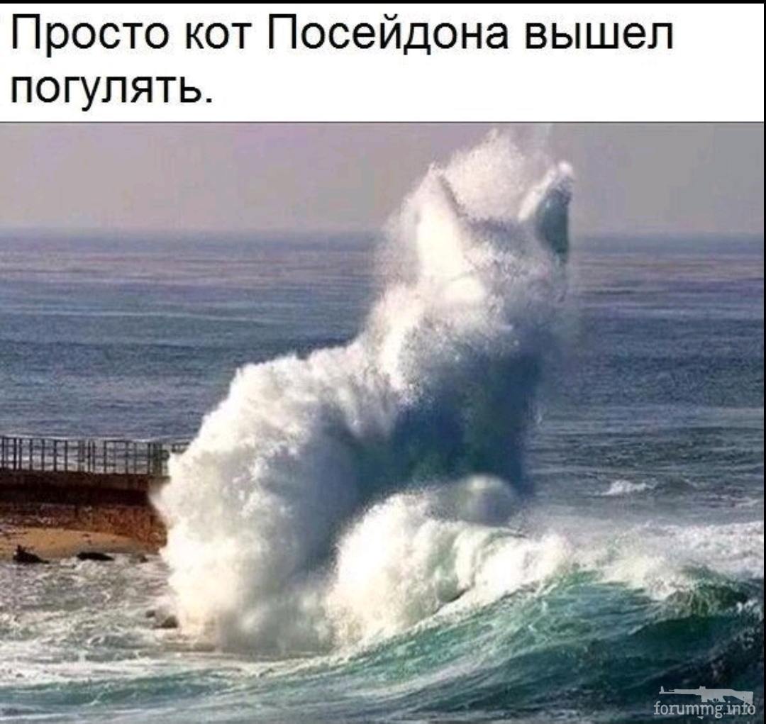 142227 - Супер прикол! № 2