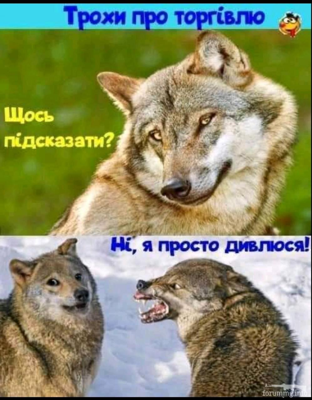 142541 - Супер прикол! № 2