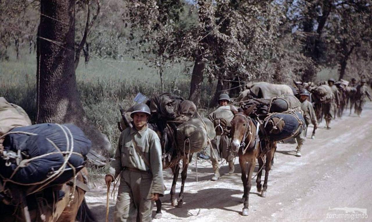 142640 - Военное фото 1939-1945 г.г. Западный фронт и Африка.